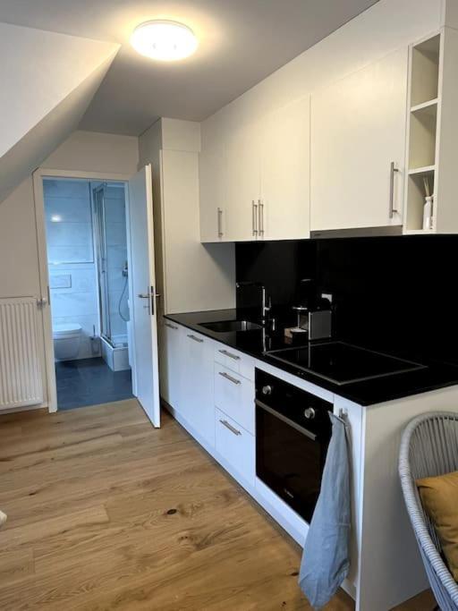 & Modern Penthouse-studio With Balcony & Air-condition Apartamento Zúrich